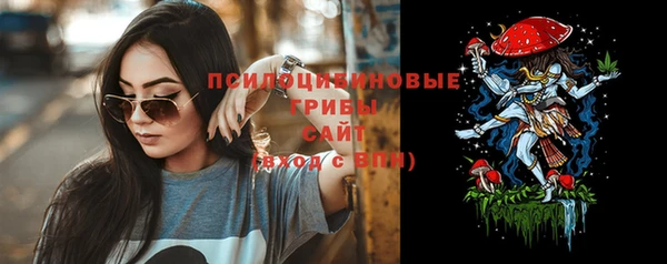 jwh Богородск