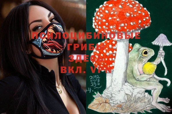 mdma Богданович