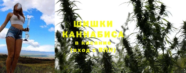 трава Белокуриха