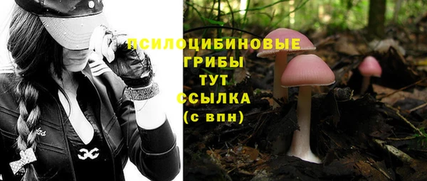 mdma Богданович