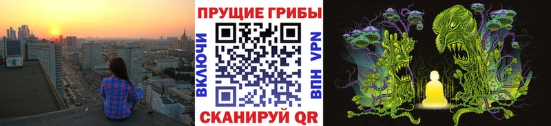 Галлюциногенные грибы прущие грибы  блэк спрут зеркало  Ковров 